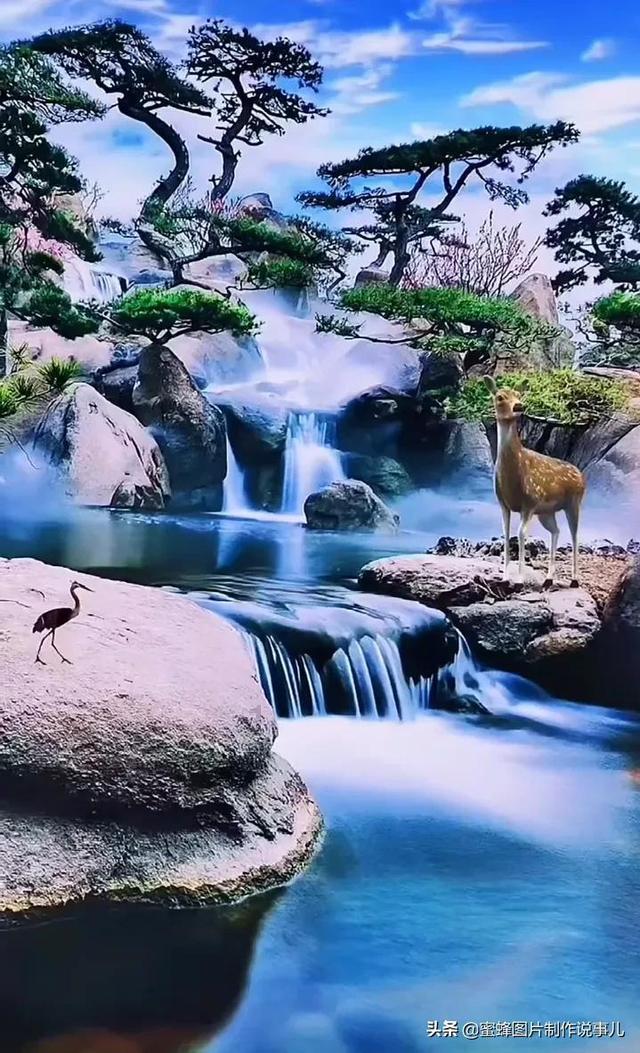 盗贼之海